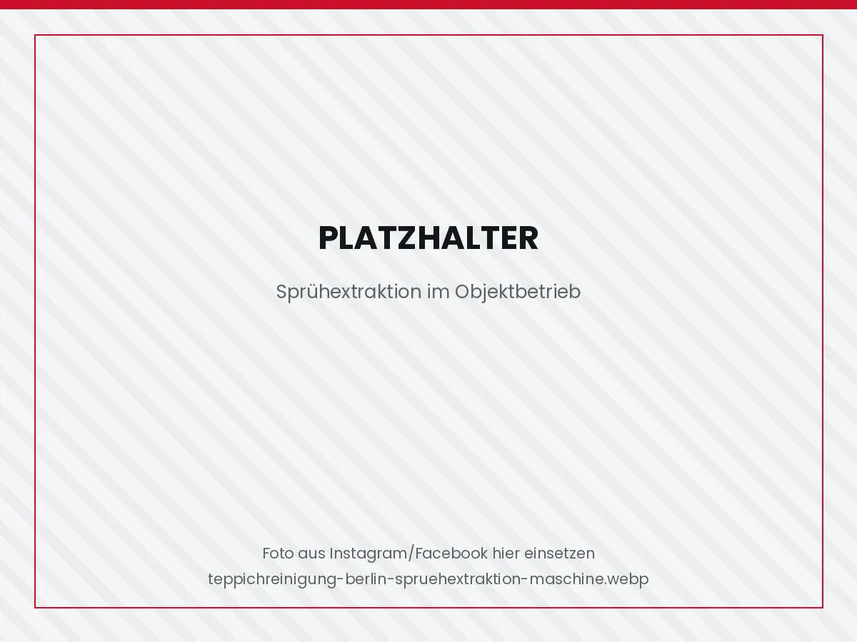 Sprühextraktionsgerät bei der Teppichreinigung in einem Berliner Objekt
